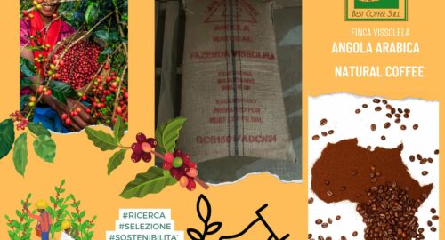 Caffe’ Africano dall’ Angola